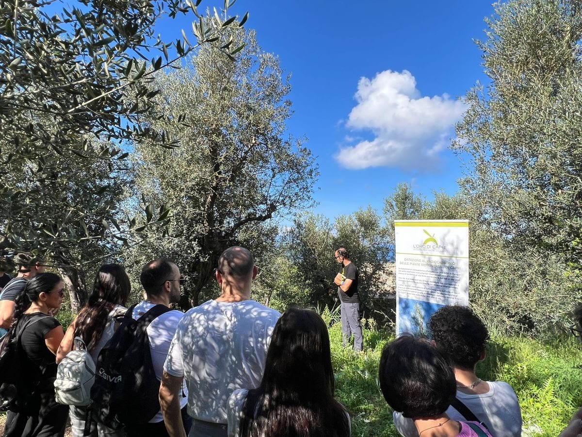 L'olio racconta i luoghi d'Italia, interessati due turisti su tre