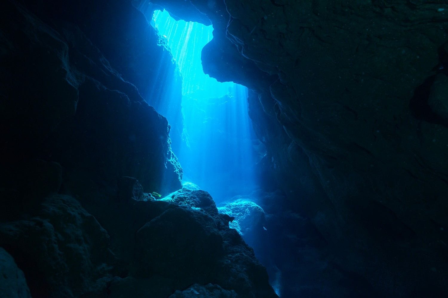 Ecco il legame tra sismicità ed evoluzione dei canyon sottomarini