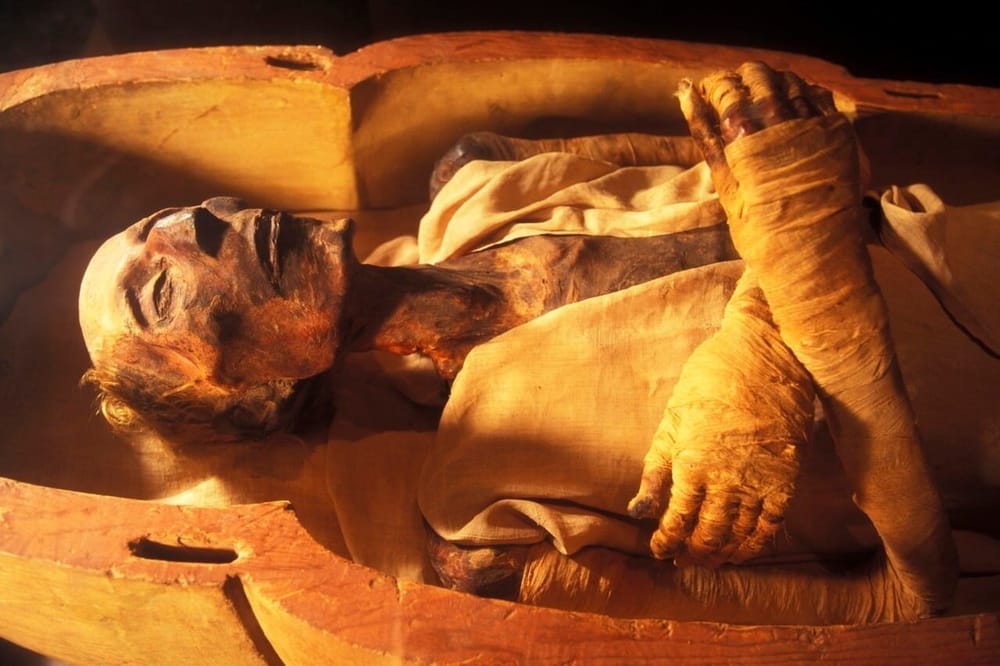 Legnoso, dolce e speziato: svelato l'odore delle mummie egiziane post image