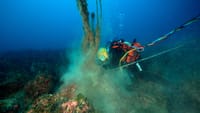 Ghostnets, l'operazione che rimuove le "reti fantasma" e salva il mare post image