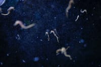 Una grande mostra racconta come la crisi climatica sta cambiando il Mediterraneo post image