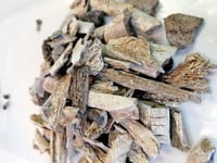 Dai rituali di cremazione degli antichi romani un vero archivio biologico e culturale post image