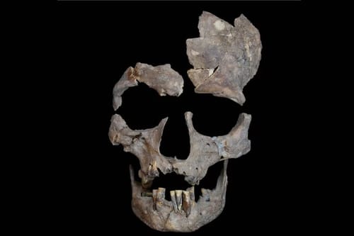 Gli esseri umani usavano sostanze psicoattive già 25.000 anni fa: la scoperta in Indonesia post image