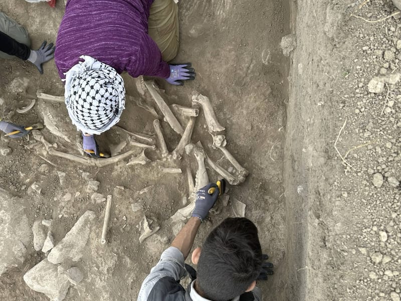 L'Anatolia e il cerchio dei bambini perduti post image