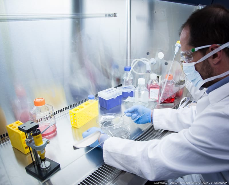 L'innovazione biomedica passa da Napoli: cos'è la tecnica "organ-on-chip"? post image