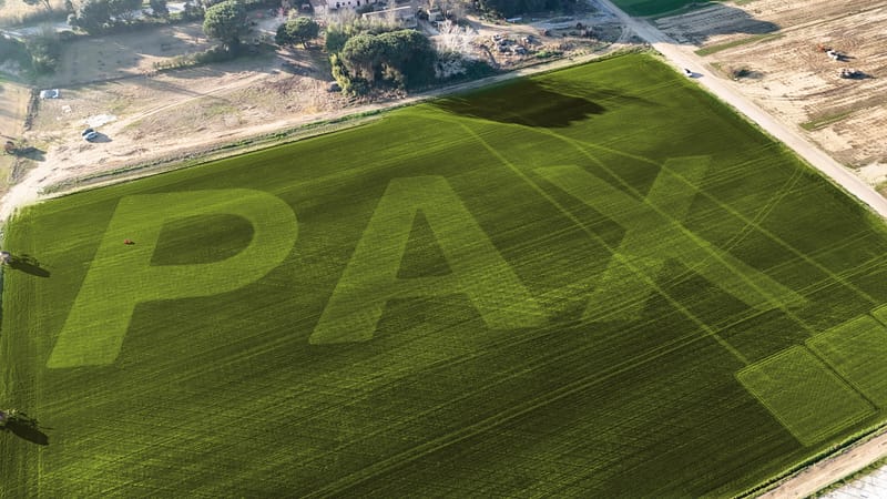 "Pax", una scritta di 180 metri nei campi di Pisa post image