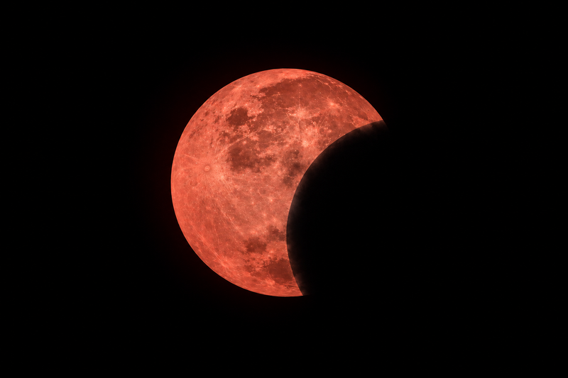 Eclissi, quando lo smartphone inventa quello che fotografa: le "allucinazioni" delle fotocamere AI post image